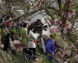 邪欲之皇171章至结局影视海报