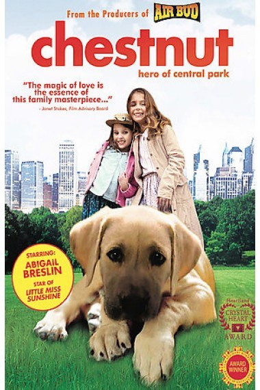 公交车顶臀影视海报