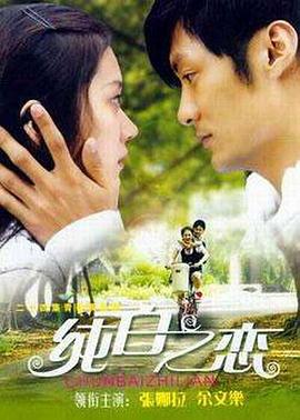 我是谁没有绝对安全的系统影视海报