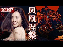 这个不可以报销 日剧影视海报