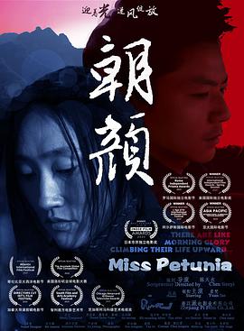 有关落难千金的电视剧影视海报