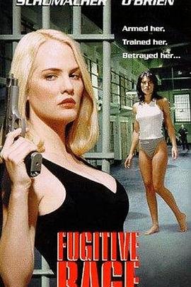 黑夜汉化组破损的自尊影视海报