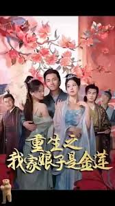 惊世媳妇影视海报