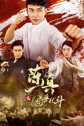 非礼勿视2在线观看影视海报