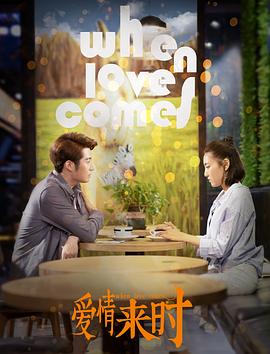 虎妈猫爸毕胜男影视海报