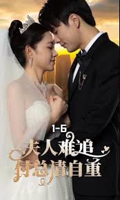 贺英 甄子丹影视海报