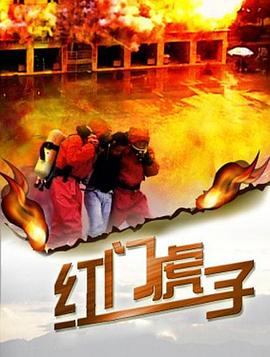 免费vip电视剧网站影视海报