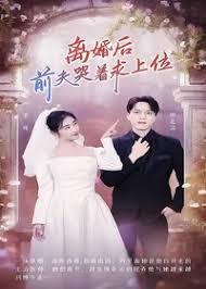 成年在视频观看插件影视海报