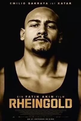 电视剧女人不容易影视海报