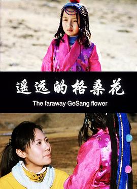 云起龙骧影视海报