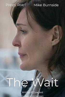 咱们结婚吧黄海波影视海报