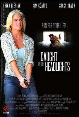 正品蓝导航最全蓝导航影视海报