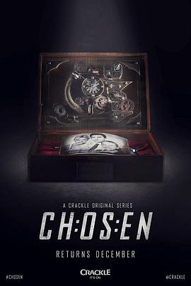 玩火情人影视海报