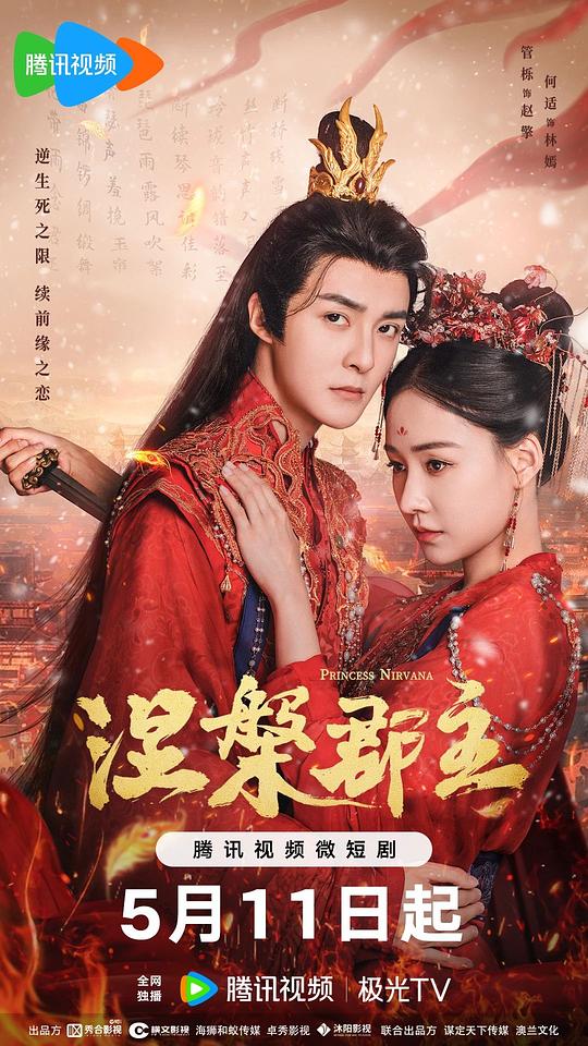 纳妾记在线观看影视海报