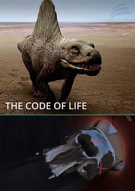 久播网络视频播放器影视海报