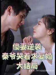 第14集影视海报