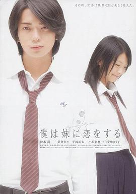 电视剧少帅全集完整版影视海报