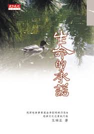 空即是色完整在线观看影视海报