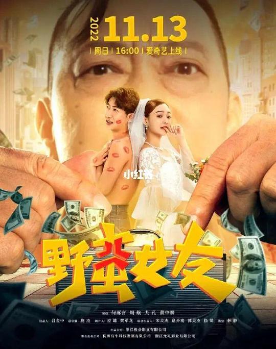 畸情恋人影视海报