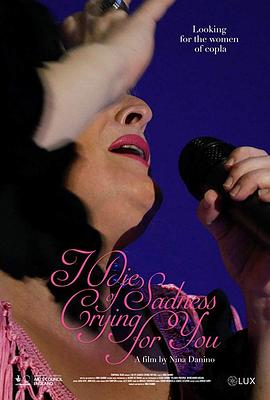 门卫老秦柳如烟影视海报