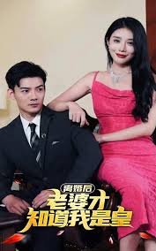 直到永远影视海报