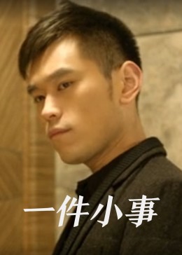 宠物小精灵之流清影视海报