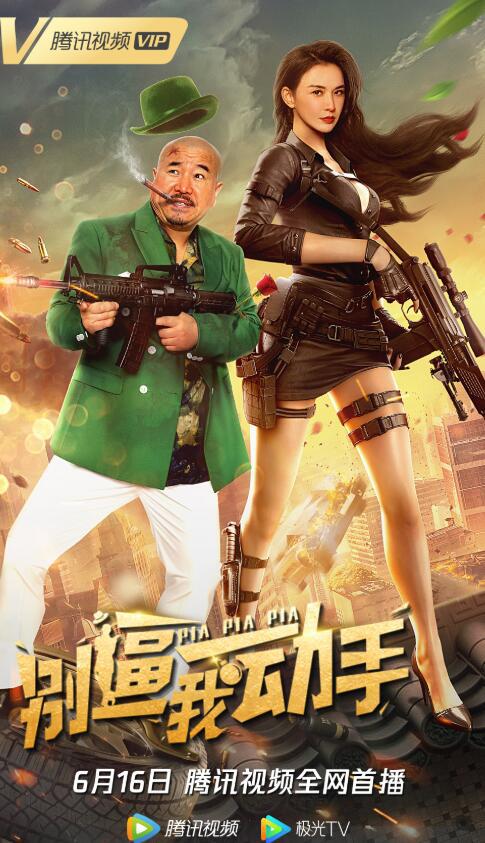 乡村大杂烩目录小说影视海报