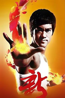 家春秋电视剧87版影视海报