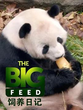 钢铁年代电视剧全集37影视海报