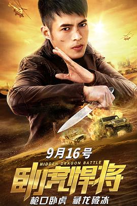 风中奇缘影视海报