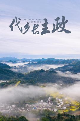 放羊的星星乐视网观看影视海报