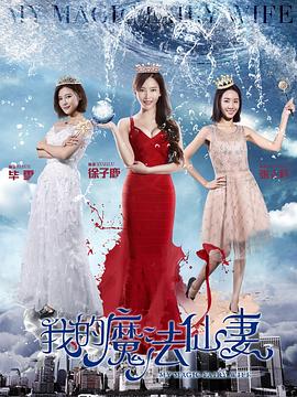 才川夫妇无删减在线观看影视海报