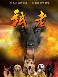 职场是个技术活 电视剧影视海报