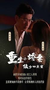 张副官为什么是麒麟血影视海报