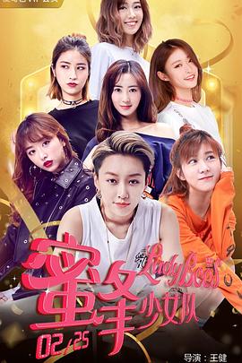 群芳承欢录影视海报