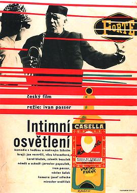 一夜惊喜在线观看影视海报