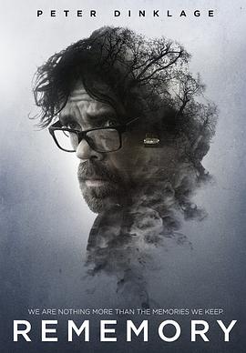 一片冰心在玉壶表达了影视海报