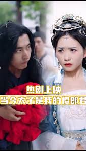 追风行动电视剧全集影视海报