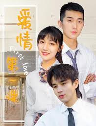 乡村少年与妇女的艳福影视海报