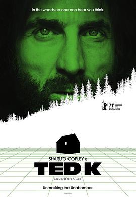 淘金王影视海报