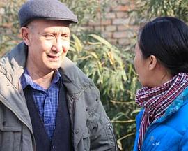 电视剧猎财狼影视海报