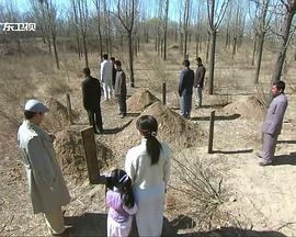 傲视影院普通下载影视海报