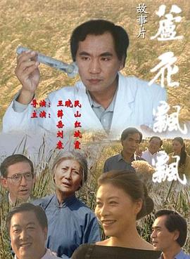 湖山盟影视海报