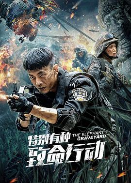 过江龙电影影视海报