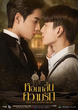 先生你哪位在线观看影视海报