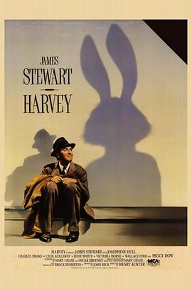 欲望学园小说影视海报