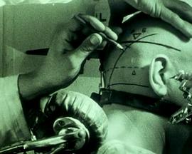 这么多年完整版 txt影视海报