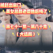 叶落长安电视剧在线看影视海报