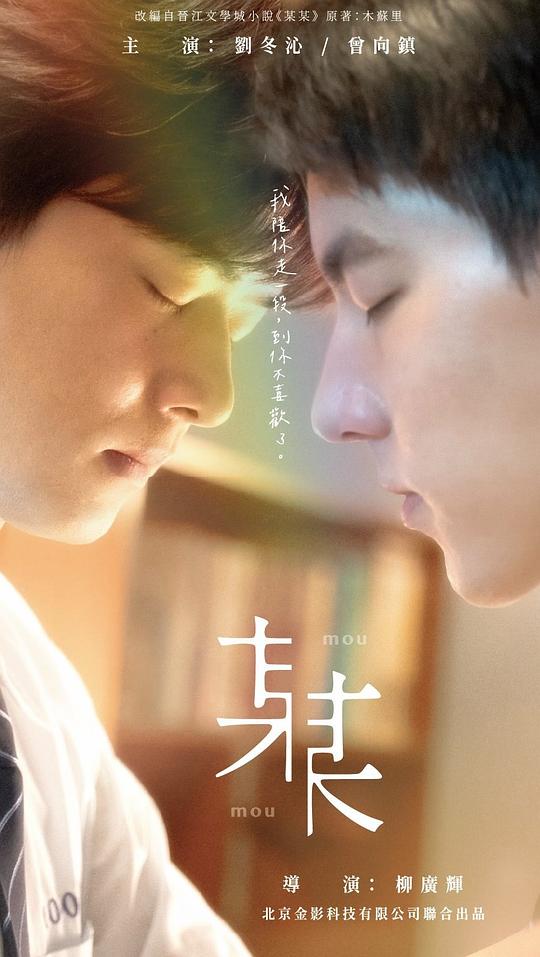 少年派电视剧免费观看影视海报