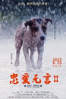 烽火芳菲在线观看影视海报